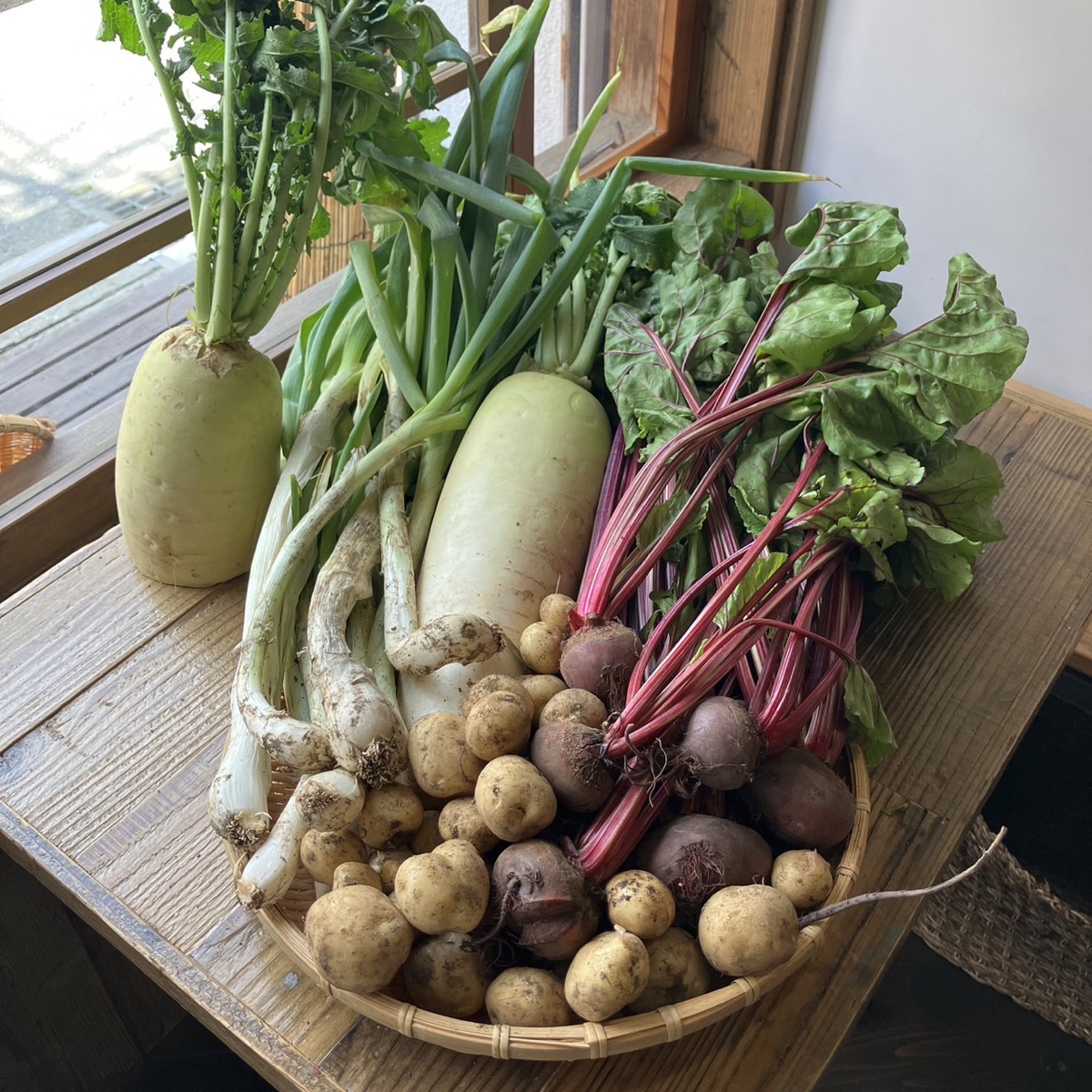 三浦の畑から届いた野菜